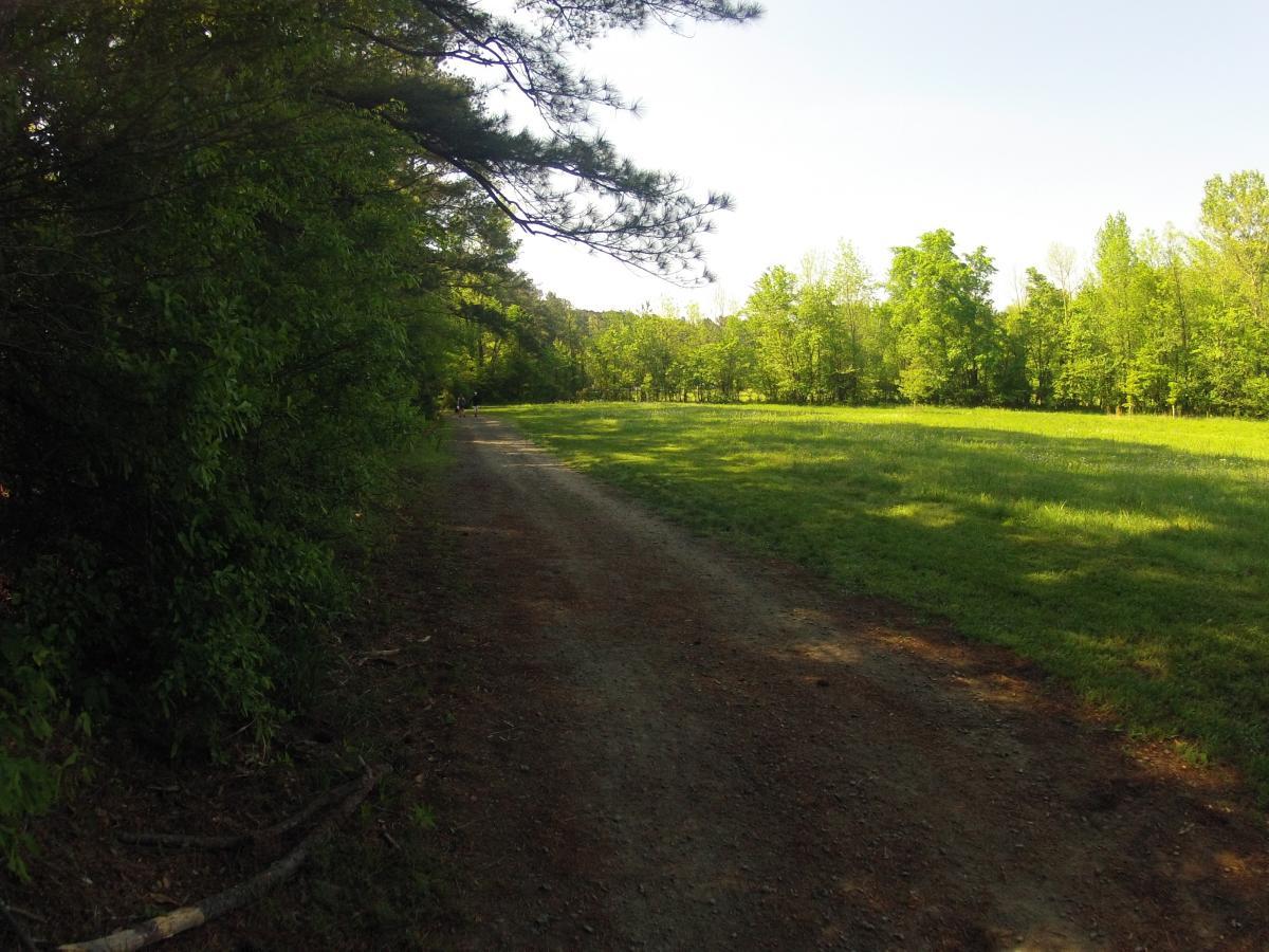 A dirt path lined with lush green trees on one side, leading to an open grassy field under bright sunlight. The scene conveys a serene outdoor environment, inviting exploration and connection with nature. Allatoona Creek Park mountain bike trail.