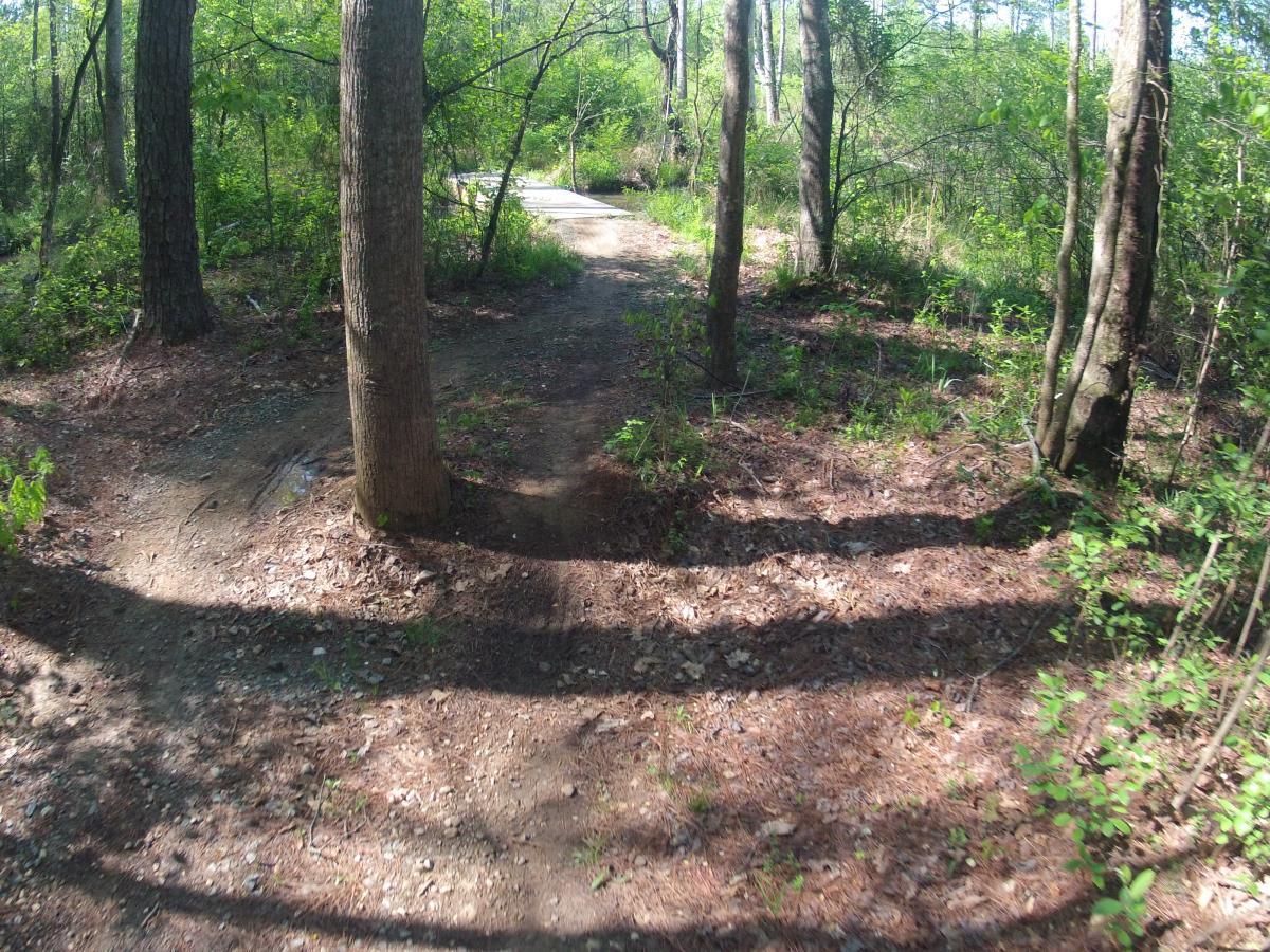 A winding dirt trail surrounded by trees and greenery, leading into a wooded area with dappled sunlight filtering through the leaves. The path curves gently to the right, with scattered leaves and patches of grass along the edges. Allatoona Creek Park mountain bike trail.