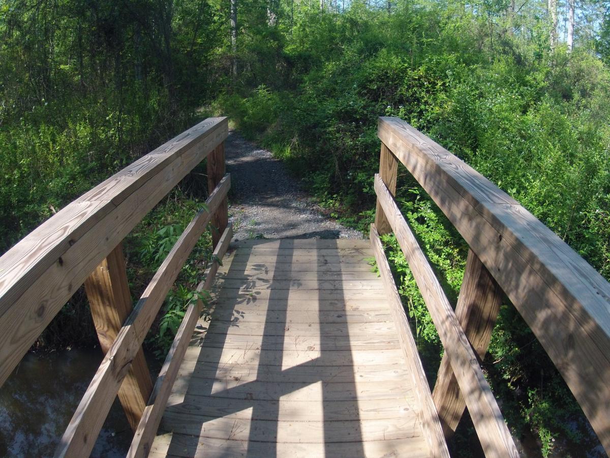  Allatoona Creek Park mountain bike trail.