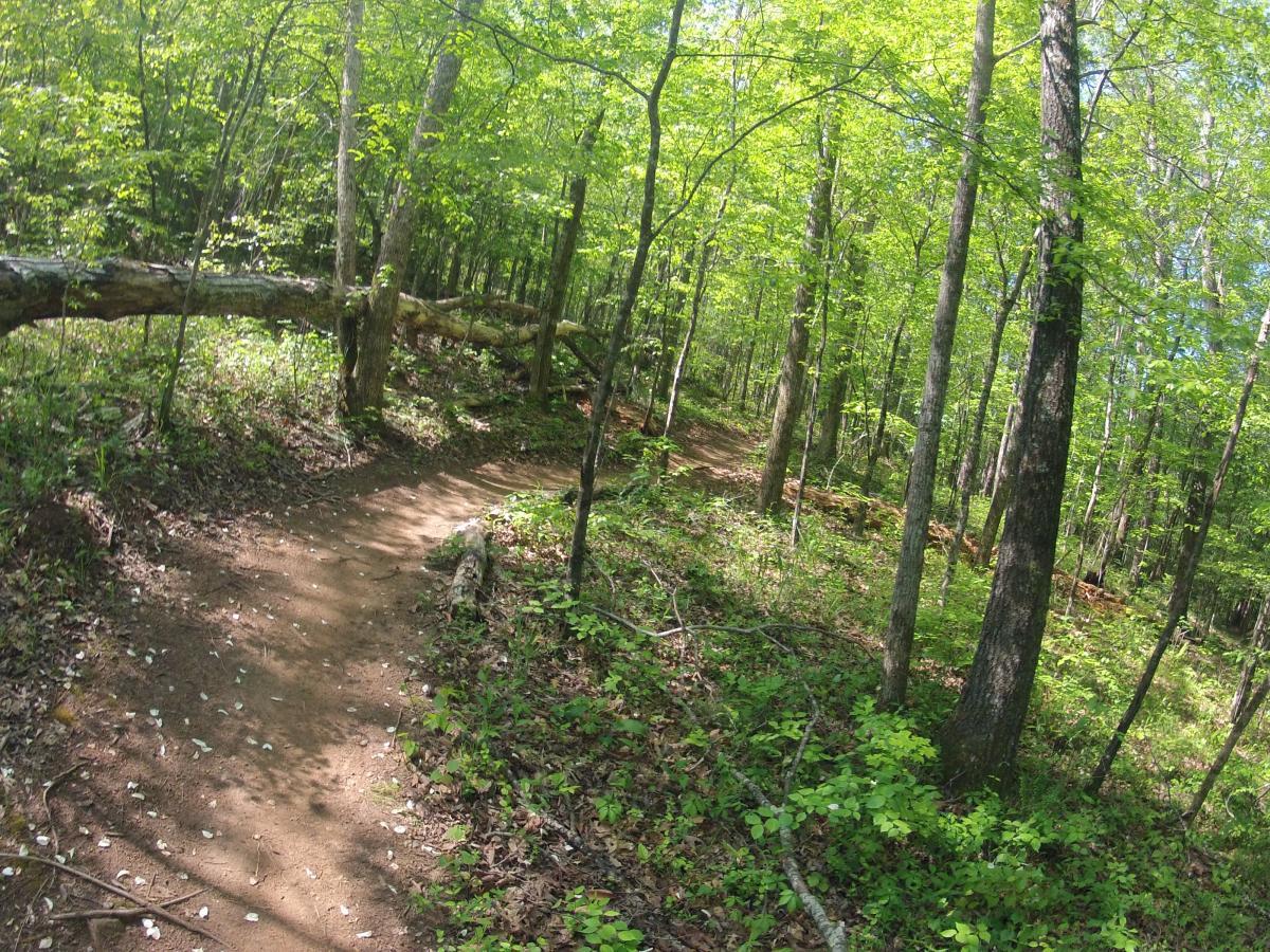  Allatoona Creek Park mountain bike trail.