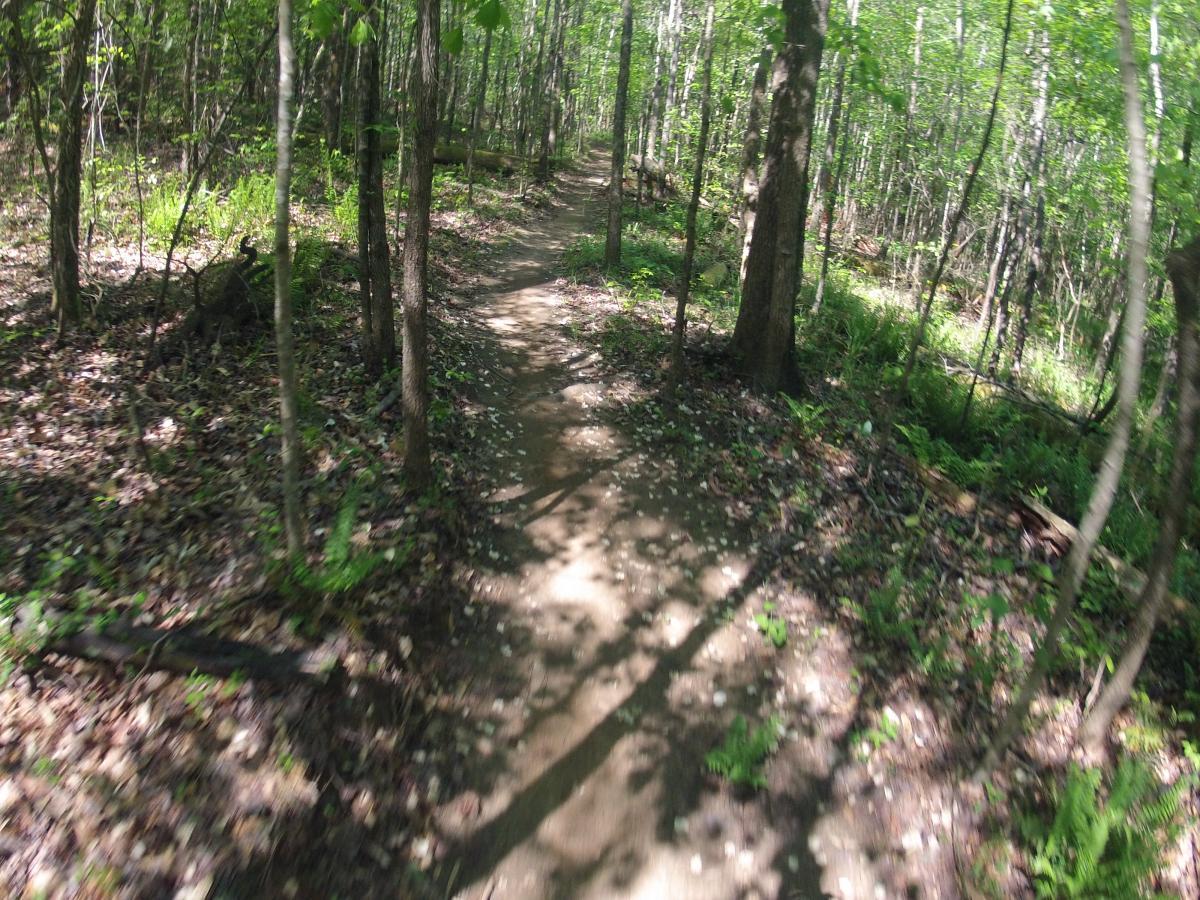  Allatoona Creek Park mountain bike trail.