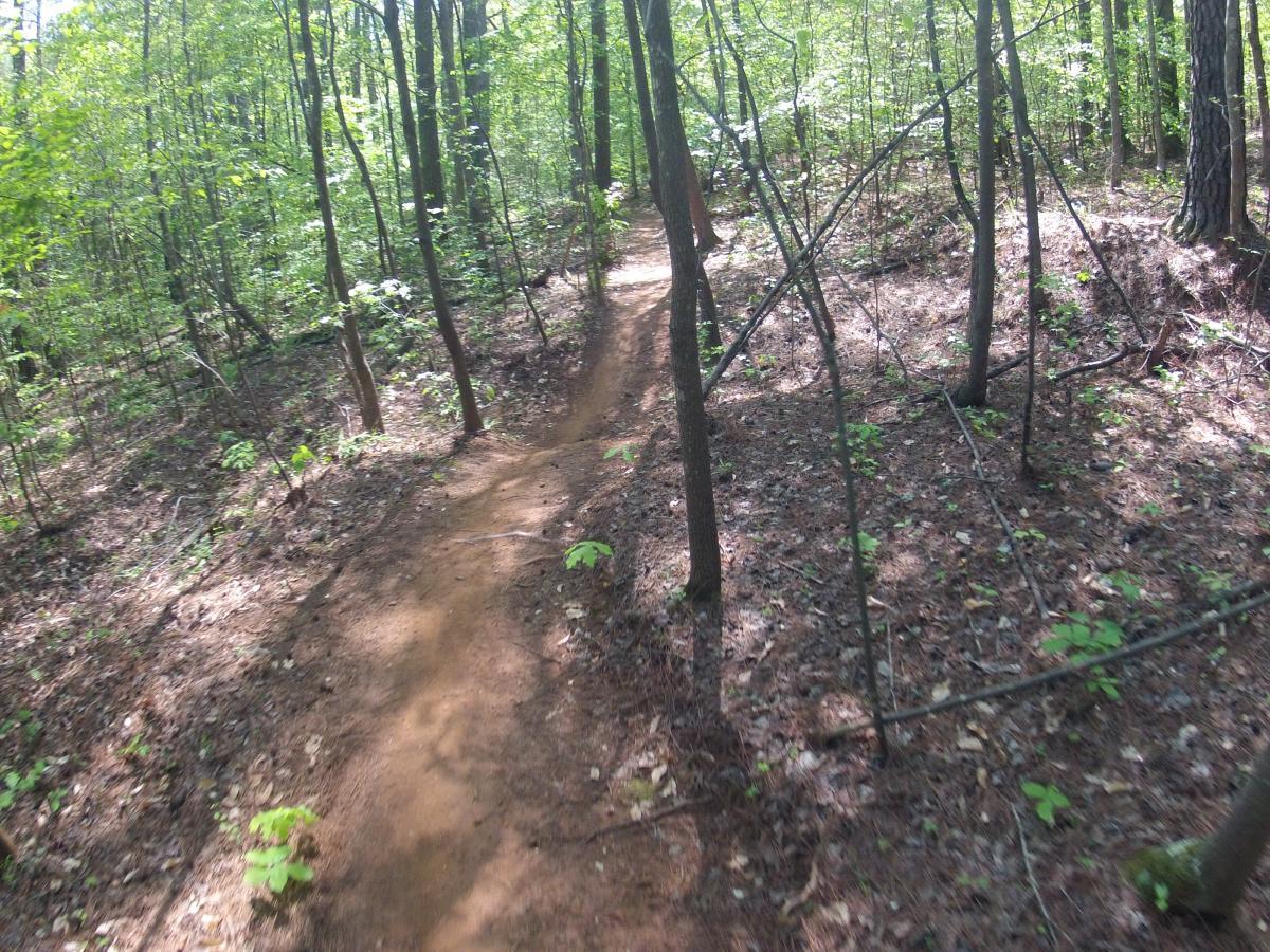 A narrow dirt trail winding through a dense, green forest with trees and underbrush on either side. Sunlight filters through the leaves, creating a dappled effect on the ground. Allatoona Creek Park mountain bike trail.