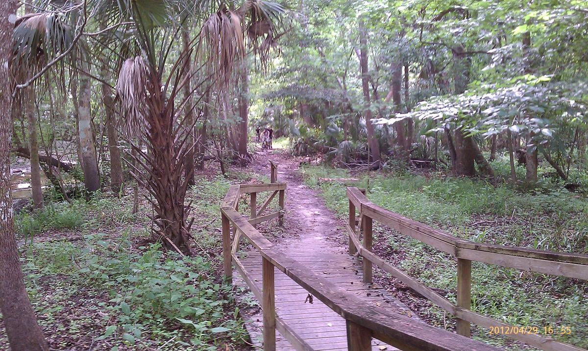 A serene wooded path winding through a lush forest, featuring a wooden bridge that crosses a small area of wetlands. Tall trees and greenery surround the trail, creating a tranquil natural setting. Environmental Center mountain bike trail.
