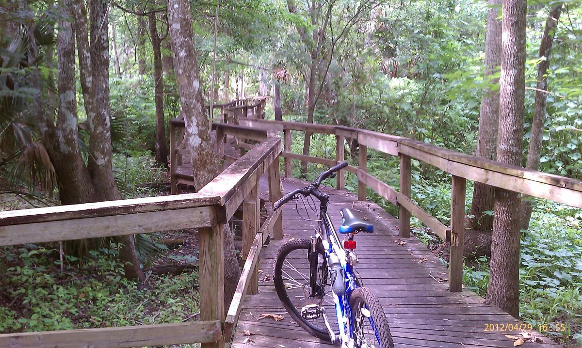 A wooded bike trail featuring a wooden boardwalk winding through trees and lush greenery, with a blue mountain bike parked at the forefront of the scene. Environmental Center mountain bike trail.