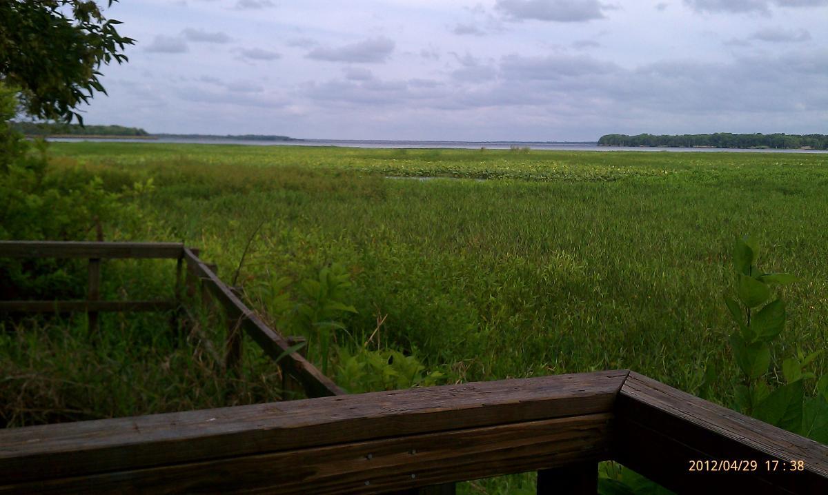 A scenic view of a wetland area with lush green vegetation in the foreground, leading to a calm body of water in the background under a cloudy sky. The image captures a wooden railing, suggesting an observation deck overlooking the landscape. Environmental Center mountain bike trail.