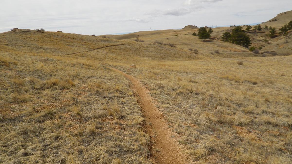 A winding dirt trail leads through a grassy landscape with rolling hills, under a cloudy sky. Sparse vegetation and a few trees are visible in the background, suggesting a natural outdoor setting. Curt Gowdy State Park mountain bike trail.