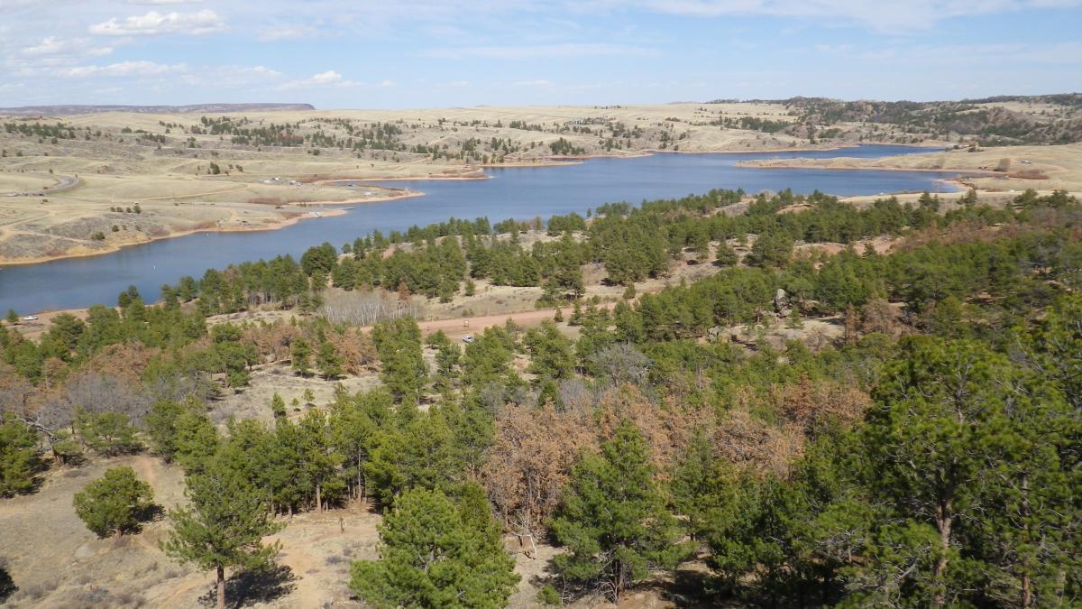 A panoramic view of a serene lake surrounded by rolling hills and a landscape dotted with coniferous trees. The scene captures a mix of green woodlands and brown earth, under a clear blue sky with scattered clouds. The calm water reflects the natural beauty of the surrounding area, inviting a sense of tranquility and outdoor exploration. Curt Gowdy State Park mountain bike trail.