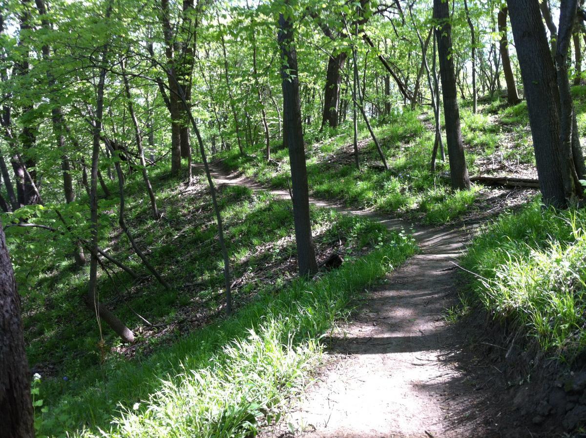 A sunlit forest trail winding through lush green foliage, surrounded by trees and grass. The path is slightly curved and slopes gently upwards, inviting exploration into the tranquil natural setting. Jewel Park mountain bike trail.