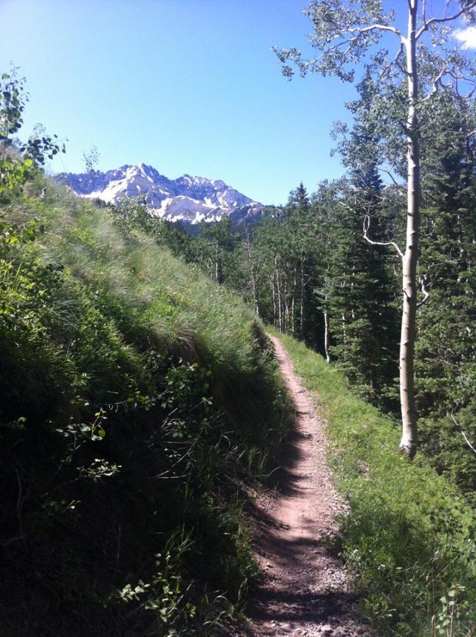 A narrow dirt path winding through a lush green landscape, flanked by tall trees, with a backdrop of snow-capped mountains under a clear blue sky. Village Trail mountain bike trail.