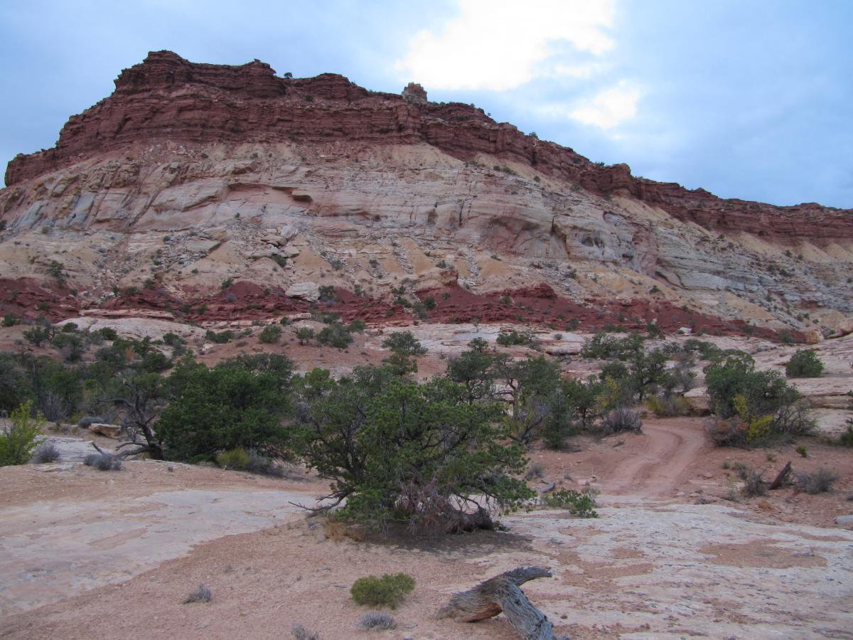 A rocky landscape featuring a prominent red and beige cliff face, surrounded by sparse vegetation and dirt pathways. The sky is overcast, casting soft light over the terrain. Teapot Rock - Standing Rock, Canyonlands national park mountain bike trail.