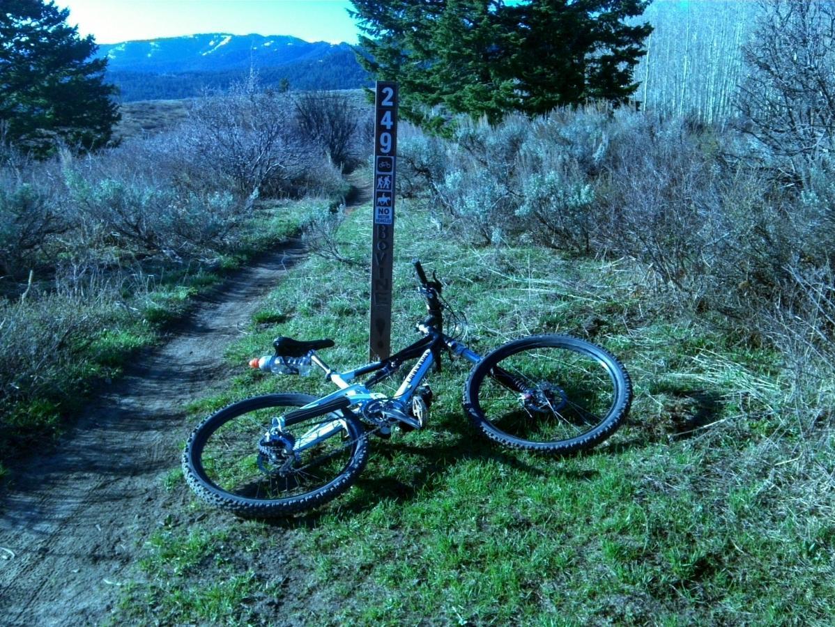 A mountain bike rests on a grassy trail with a wooden signpost marked "249" in the background. The scene is surrounded by sparse vegetation and trees, with mountains visible in the distance under a clear blue sky. Bovine mountain bike trail.