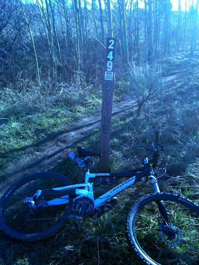 A mountain bike is lying on its side next to a trail sign marked "249 BOYNE" that indicates no motor vehicles are allowed. The scene is set in a grassy area with sparse trees in the background, under a clear blue sky. Bovine mountain bike trail.