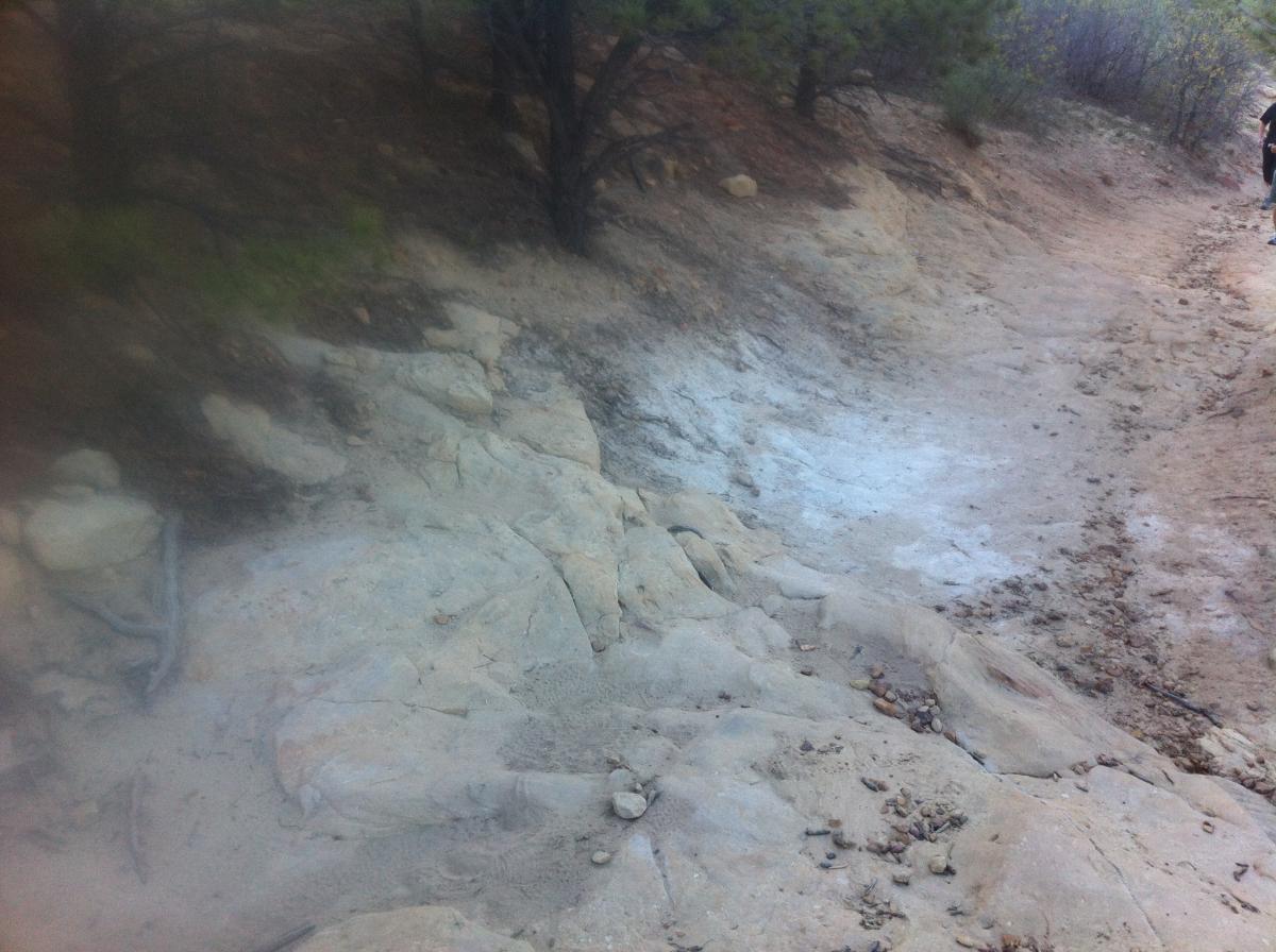 A rocky pathway winding through a wooded area, with scattered stones and dirt visible on the surface. The scene is natural and rugged, showcasing earthy tones and textures. Ute Valley Park mountain bike trail.