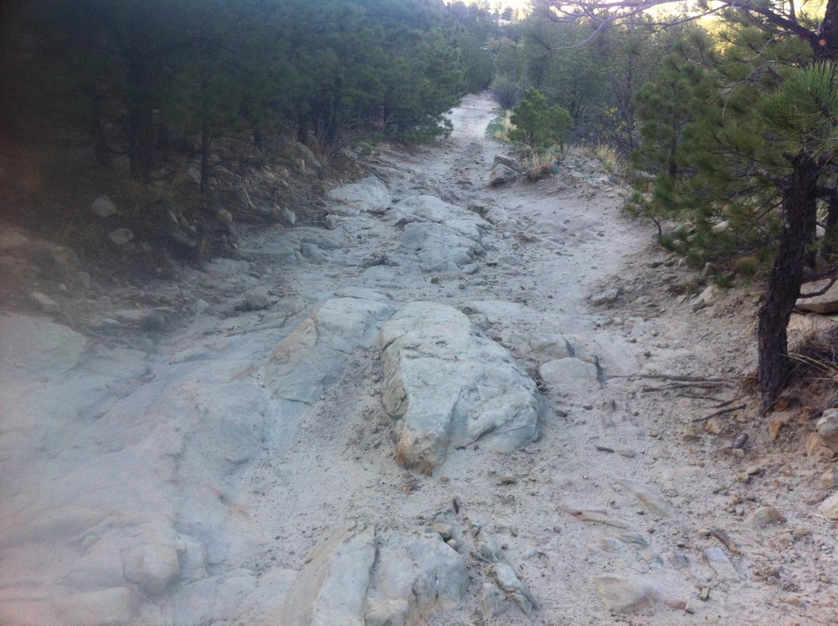 A rocky trail surrounded by pine trees, leading into a forested area. The path is uneven with exposed rocks and a sandy surface, indicating a natural hiking route. Soft sunlight filters through the trees, illuminating the trail. Ute Valley Park mountain bike trail.