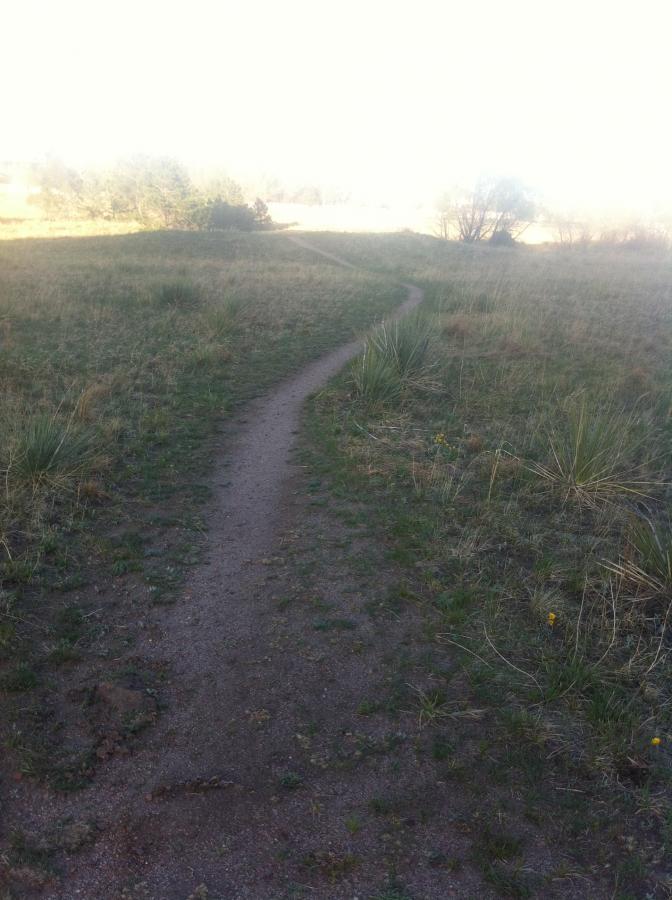 A winding dirt path through a grassy field, with sparse vegetation on either side and trees visible in the background. The scene is illuminated by soft, diffused light, suggesting an early morning or late afternoon setting. Ute Valley Park mountain bike trail.