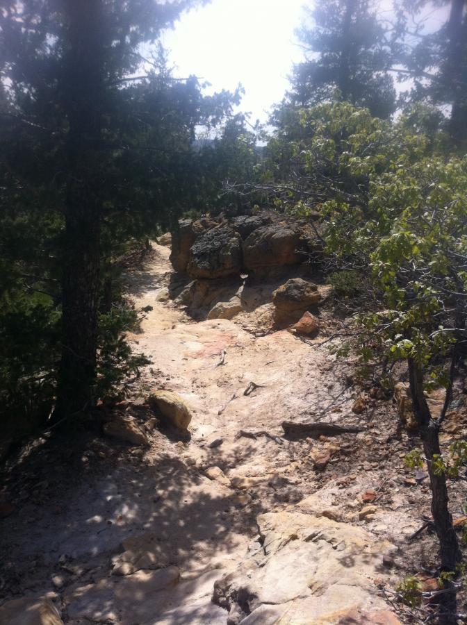A rocky trail winding through a forested area, flanked by evergreen trees and boulders, with sunlight filtering through the branches above. Ute Valley Park mountain bike trail.