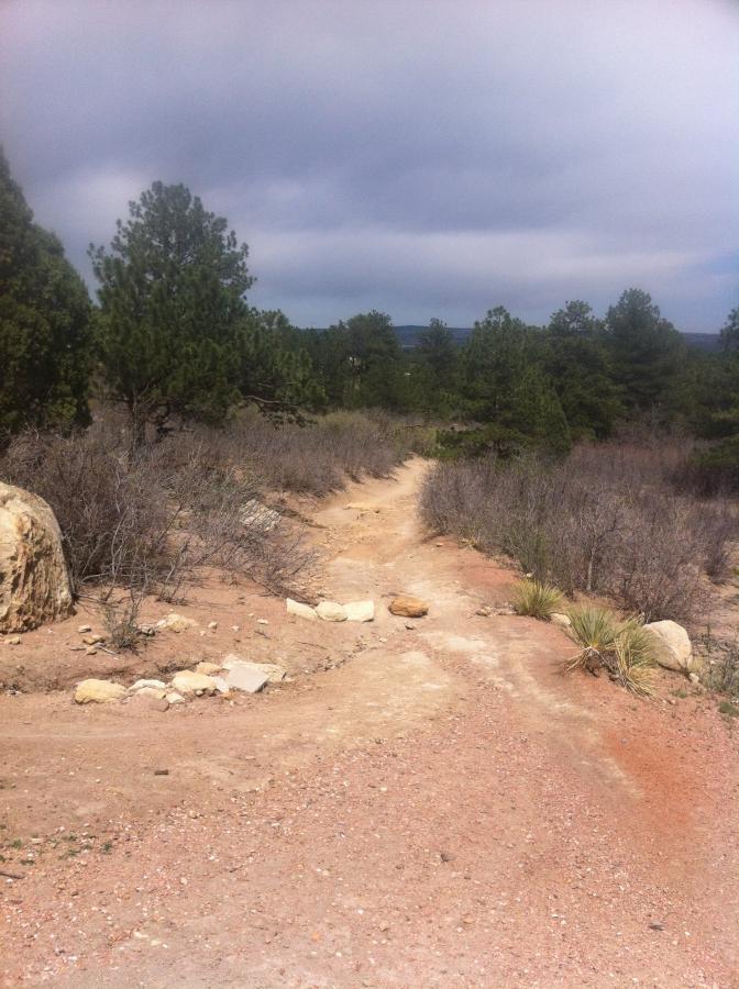 A dirt path winding through a sparse, wooded area with pine trees and low shrubs, under a cloudy sky. Rocks are scattered along the trail, which is surrounded by earthy tones of dirt and grass. Ute Valley Park mountain bike trail.