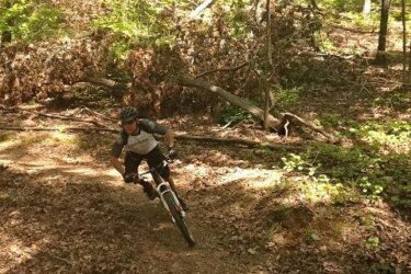 A cyclist navigating a dirt trail in a forest, leaning into a turn. The scene is surrounded by lush green trees and fallen branches, with a carpet of dried leaves covering the ground. The sun filters through the foliage, creating a bright and vibrant atmosphere. Woodring Branch mountain bike trail.