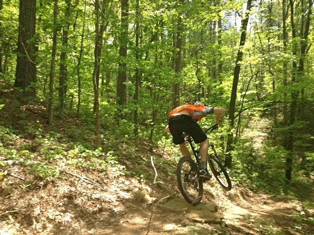 A mountain biker performing a jump on a dirt trail surrounded by lush green trees in a forest setting. The rider is wearing an orange jersey and black shorts, with a focus on their dynamic position as they navigate the challenging terrain. Ridgeway Loop mountain bike trail.