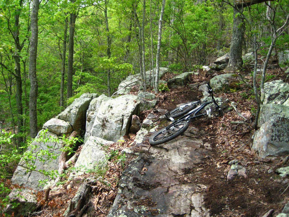 A mountain bike rests on a rocky trail surrounded by lush green foliage and trees. The scene captures the rugged terrain typical of a forested biking path, with large rocks and patches of dirt visible alongside the bike. Windrock Bike Park mountain bike trail.