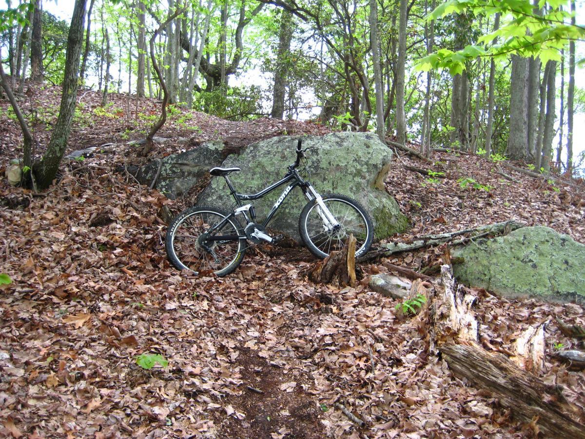 A mountain bike resting on a trail covered in fallen leaves, surrounded by rocks and trees in a forested area. Windrock Bike Park mountain bike trail.