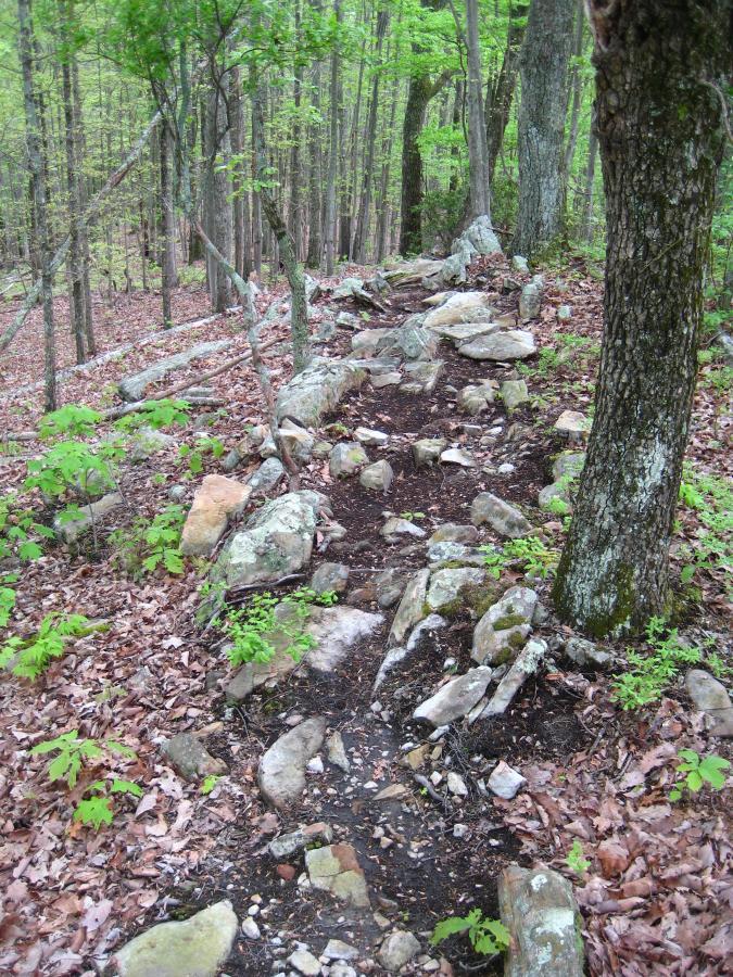 A rocky hiking trail winding through a lush green forest, with trees on either side and fallen leaves scattered along the path. The trail features earth and stones, surrounded by small plants and undergrowth. Windrock Bike Park mountain bike trail.