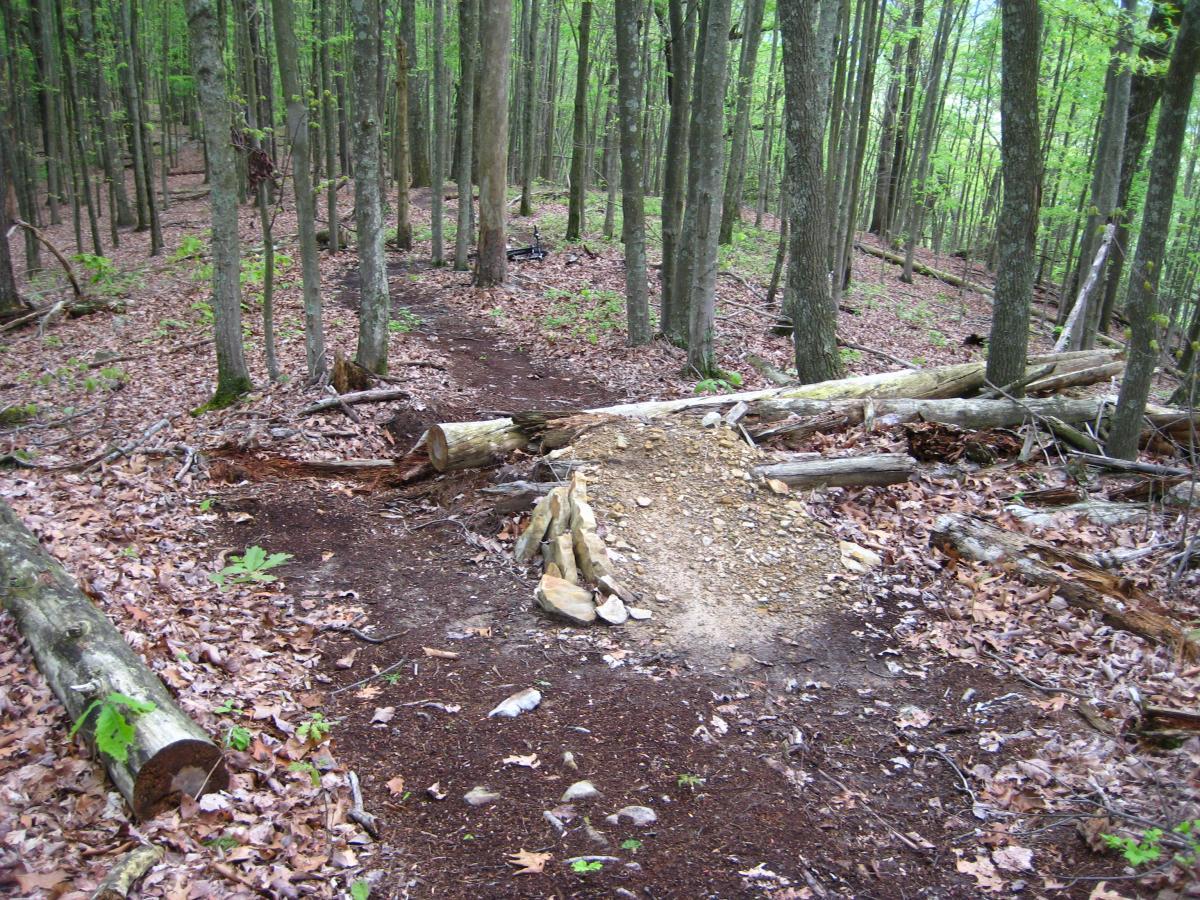 A dirt path winding through a forest with green foliage and fallen leaves, featuring a mound of dirt and rocks that forms a small jump in the trail, surrounded by trees and scattered logs. Windrock Bike Park mountain bike trail.