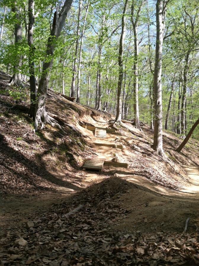 A forested trail in a wooded area with lush green leaves, featuring a hillside with wooden steps leading up. The ground is covered in leaves and dirt, with a winding path visible to the right. Sunlight filters through the trees, creating a bright and inviting atmosphere. Fountainhead Regional Park mountain bike trail.