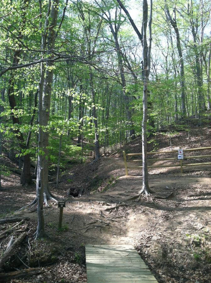 A winding dirt path through a vibrant green forest, with young leaves on trees and sunlight filtering through the branches. A wooden bridge crosses over a small stream, leading toward a sign indicating "Trail B" and trail markers. The terrain shows signs of recent foot traffic, and a wooden fence runs along the hillside in the background. Fountainhead Regional Park mountain bike trail.