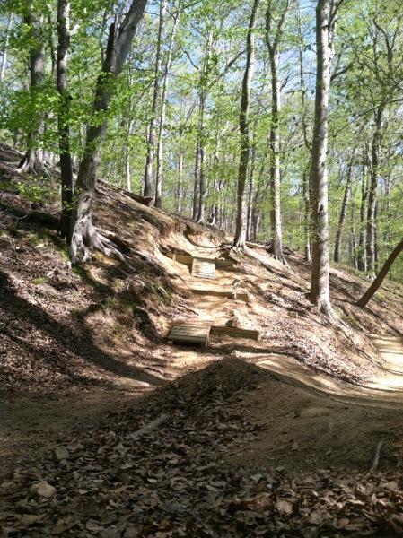 A forested hillside featuring a dirt trail that winds upward. The path is lined with wooden steps and surrounded by green trees and foliage, illuminated by sunlight filtering through the leaves. Brown leaves cover the ground, adding texture to the natural landscape. Fountainhead Regional Park mountain bike trail.