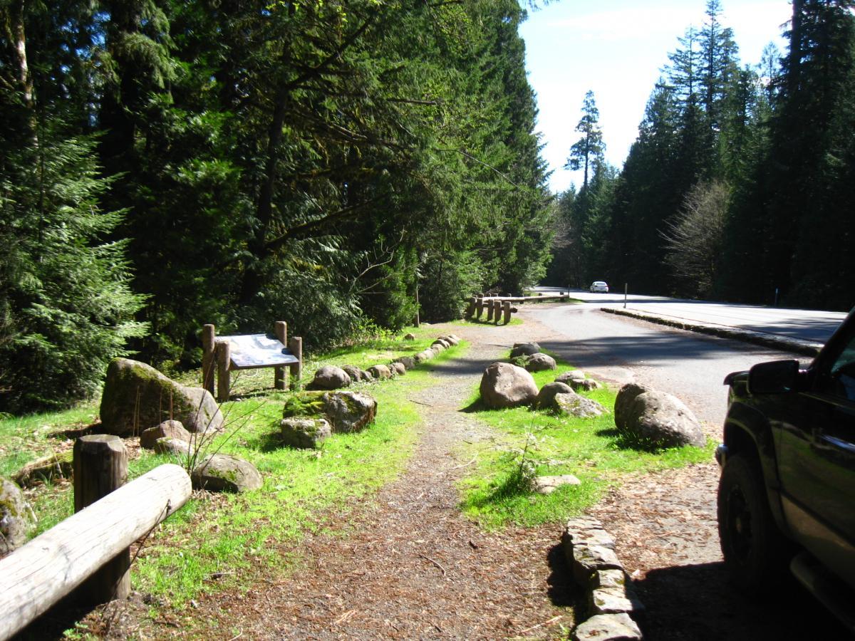 A scenic view of a forested path adjacent to a highway, lined with large rocks and a wooden post. A sign is visible along the path, surrounded by lush greenery. In the background, tall trees rise up on both sides, creating a peaceful natural setting. A car is seen driving on the nearby road under clear blue skies. Mckenzie River Trail mountain bike trail.
