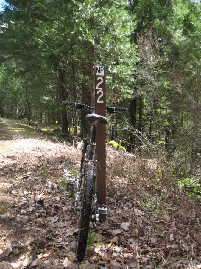 A mountain bike resting against a trail marker labeled "MP 22," surrounded by a forest of tall trees and a carpet of dried leaves on the ground. Middle Fork Trail mountain bike trail.