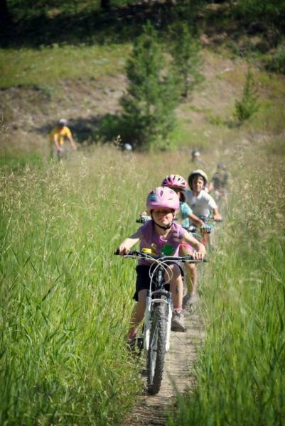A group of children riding bicycles along a dirt trail surrounded by tall grass and greenery on a sunny day. Some of the children are wearing helmets, and they appear to be enjoying their ride outdoors.