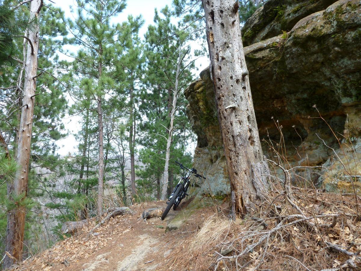 A mountain bike leaning against a rocky outcrop on a forest trail, surrounded by tall pine trees and rocky terrain. The path is slightly inclined and covered with fallen leaves. Levis Mounds mountain bike trail.