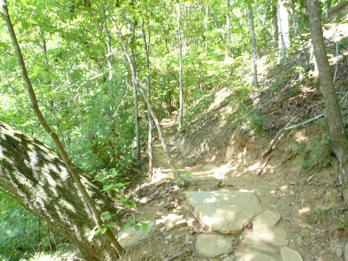 A narrow, winding dirt trail surrounded by lush green trees and foliage, with sunlight filtering through the leaves, creating a serene and inviting atmosphere for hiking. The path features rocky edges and is bordered by the natural landscape of a forested area. Van Michael Trail mountain bike trail.