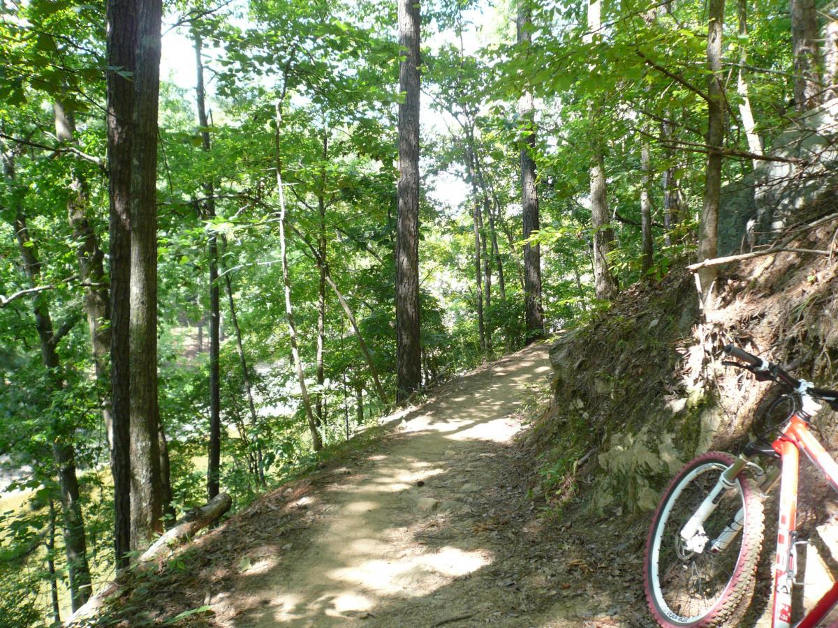 A winding dirt trail surrounded by lush green trees in a forest, with a bicycle resting on the side of the path. Sunlight filters through the leaves, casting dappled shadows on the ground. Van Michael Trail mountain bike trail.