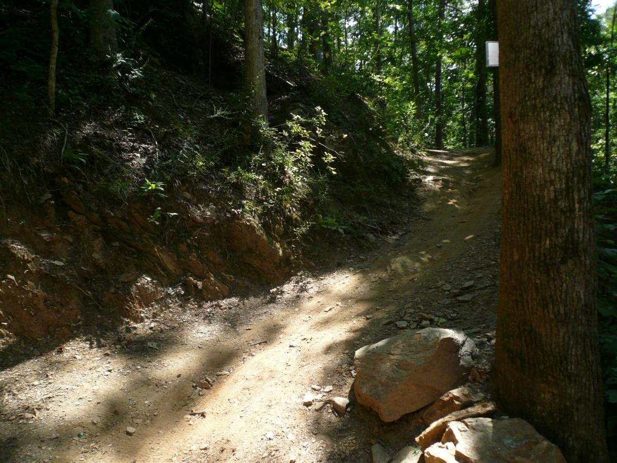 A narrow dirt path winding through a lush forest, flanked by trees and rocky terrain. Sunlight filters through the foliage, casting dappled shadows along the trail. Van Michael Trail mountain bike trail.