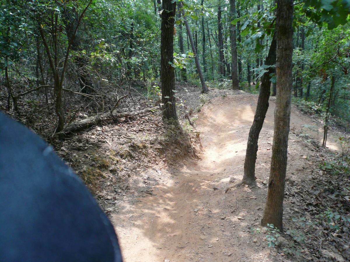 A winding dirt path through a wooded area, flanked by trees and underbrush. The trail is surrounded by green foliage, with some sunlight filtering through the leaves, creating a serene and natural atmosphere. Van Michael Trail mountain bike trail.