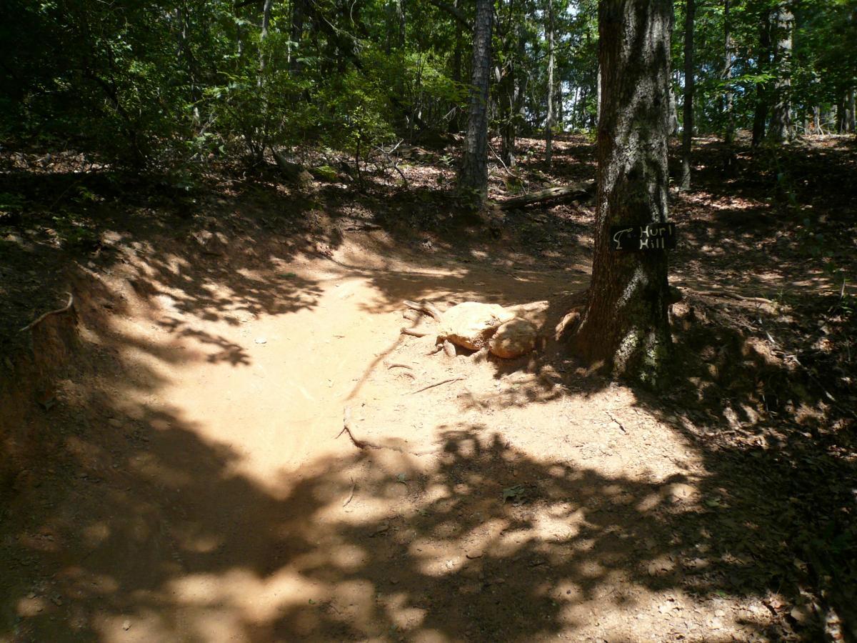 A dirt trail leading through a wooded area, with sunlight filtering through the trees. A wooden sign labeled "Hurl Hill" is attached to a tree on the right side of the image, and there are some rocks and shading patterns on the ground. Van Michael Trail mountain bike trail.