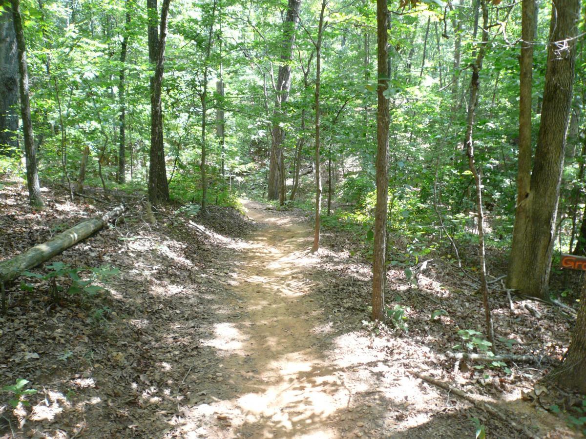 A narrow dirt path winding through a lush green forest, surrounded by tall trees and scattered leaves on the ground, with dappled sunlight filtering through the foliage. Van Michael Trail mountain bike trail.