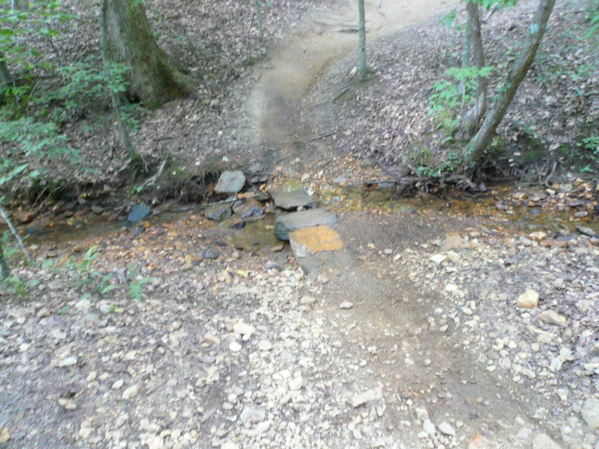 A narrow dirt path winding through a wooded area, crossing over a small stream. The stream is lined with rocks and surrounded by foliage, with dry leaves and gravel on the trail. Van Michael Trail mountain bike trail.