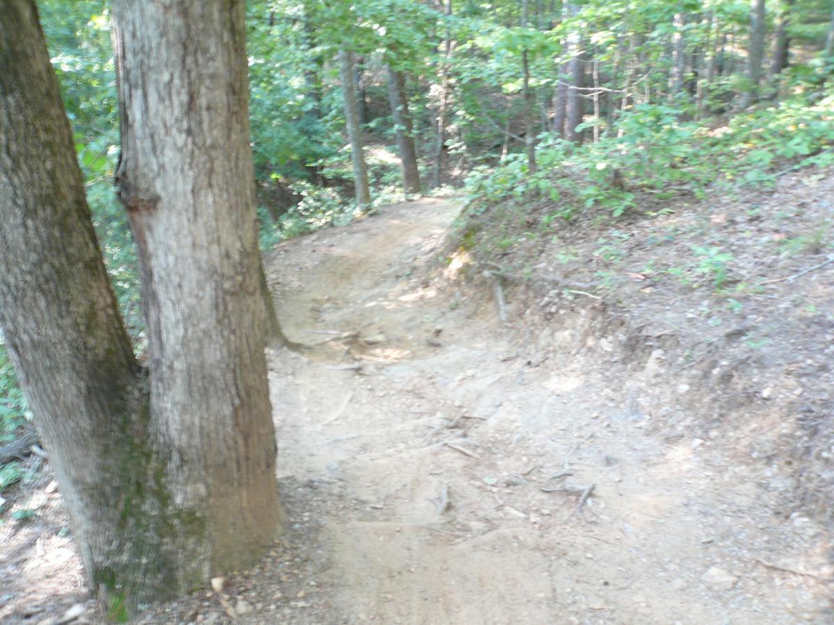 A narrow dirt path winding through a wooded area, flanked by trees on the left side. The ground is uneven with exposed roots and some loose soil, indicating a natural trail in a forest setting. Sunlight filters through the leaves, creating a dappled light effect on the path. Dwelling Loop mountain bike trail.
