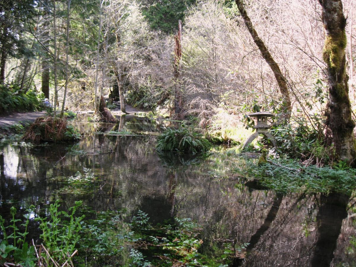 A serene natural landscape featuring a tranquil pond surrounded by lush greenery and trees. Reflections of the trees are visible on the water's surface, and a traditional stone lantern can be seen on the bank, enhancing the peaceful ambiance of the scene. Mckenzie River Trail mountain bike trail.