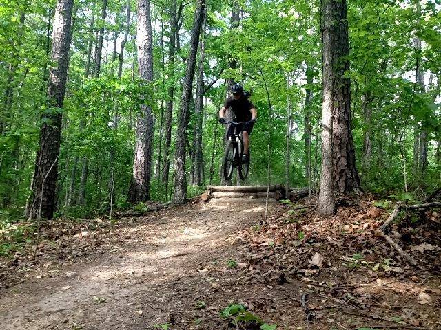 A mountain biker in a black shirt and helmet jumps over a wooden ramp on a forest trail surrounded by tall, green trees and underbrush. Dust is kicked up from the ground as the biker navigates the jump. Blankets Creek mountain bike trail.