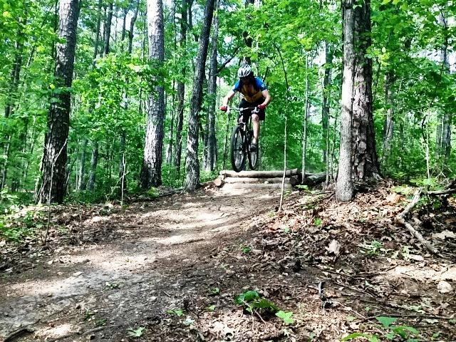 A mountain biker in a blue helmet and shirt jumps off a wooden ramp on a forest trail, surrounded by tall trees and vibrant green foliage. Dust is kicked up from the bike's tires as the rider descends the slope. Blankets Creek mountain bike trail.