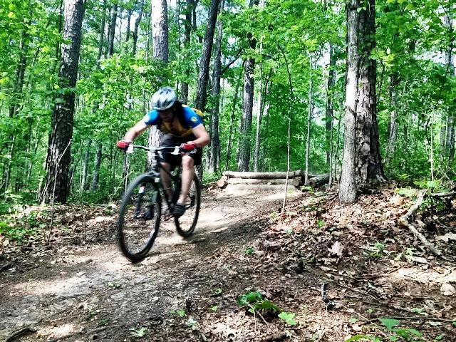 A mountain biker speeding along a dirt trail in a lush forest, with tall trees and green foliage surrounding the path. The rider is focused and wearing a helmet and colorful biking gear, navigating a wooden log obstacle ahead. Blankets Creek mountain bike trail.