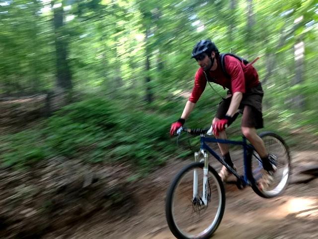 A mountain biker in a red shirt and helmet rides downhill on a dirt trail surrounded by green trees. The image captures the sense of speed and motion as the rider navigates through a vibrant forest setting. Blankets Creek mountain bike trail.