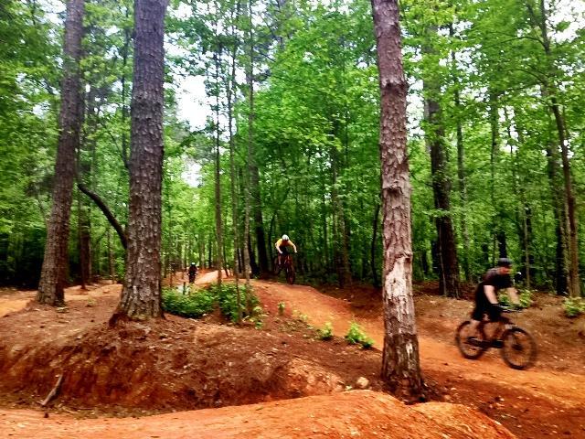 A lush forest trail with cyclists riding through it. In the foreground, a biker is airborne over a dirt jump, while others navigate the winding path in the background, surrounded by tall trees and greenery. Blankets Creek mountain bike trail.