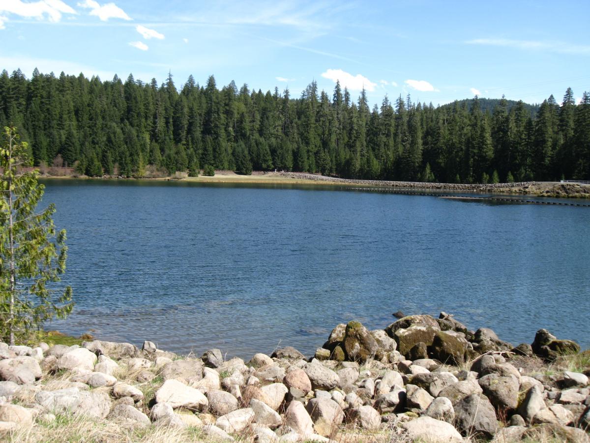 A serene lake surrounded by dense evergreen trees, with a rocky shoreline in the foreground. The water is calm and reflects the clear blue sky dotted with a few white clouds. A distant area of green grass is visible along the opposite shore, enhancing the tranquil natural setting. Mckenzie River Trail mountain bike trail.