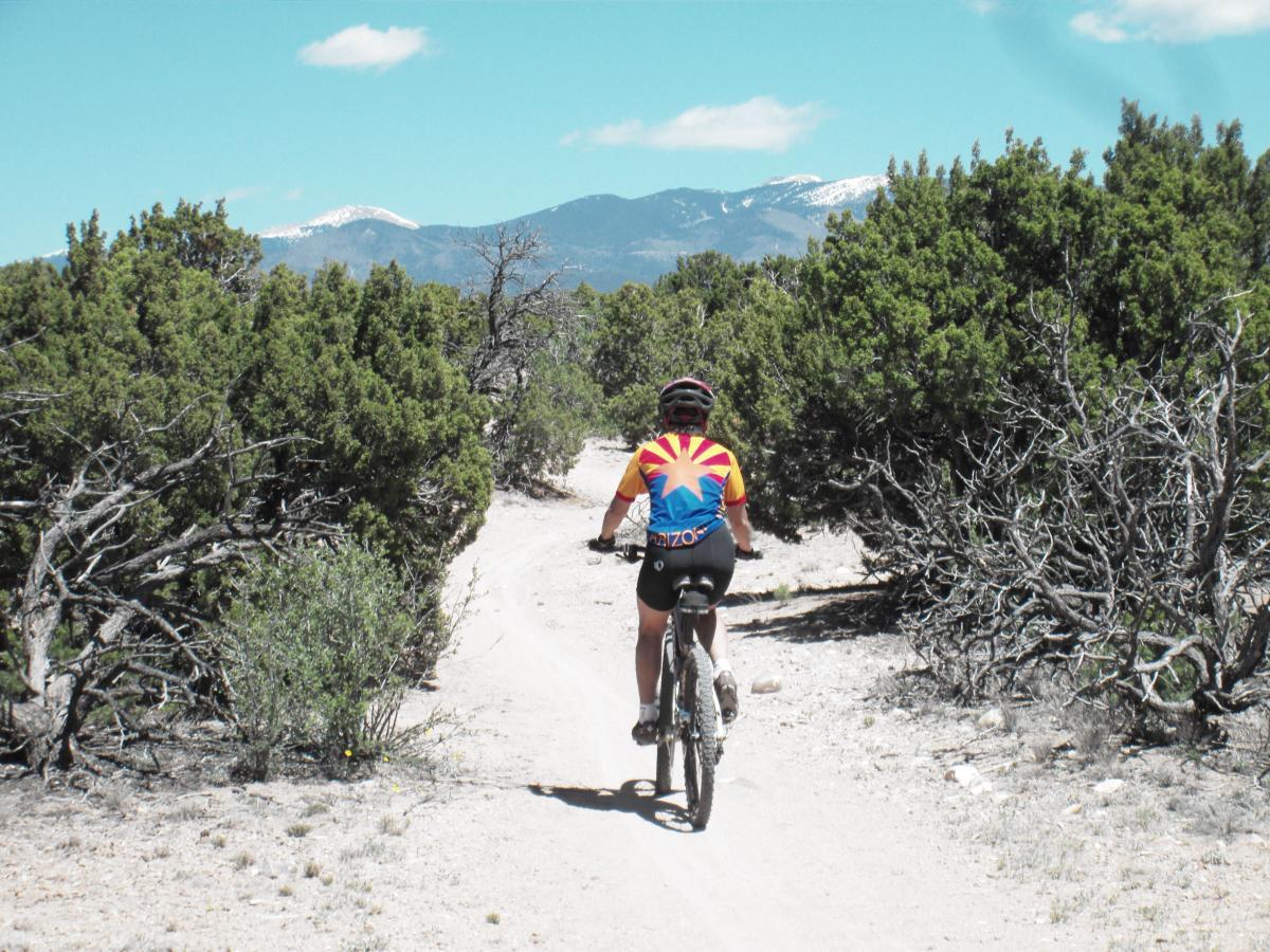 A person riding a mountain bike along a dirt trail surrounded by greenery, with mountains in the background and a clear blue sky. The cyclist is wearing a colorful jersey that features a design reminiscent of the Arizona flag. La Tierra mountain bike trail.